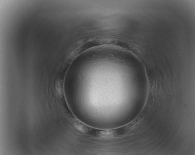 X0000067930335200604201502