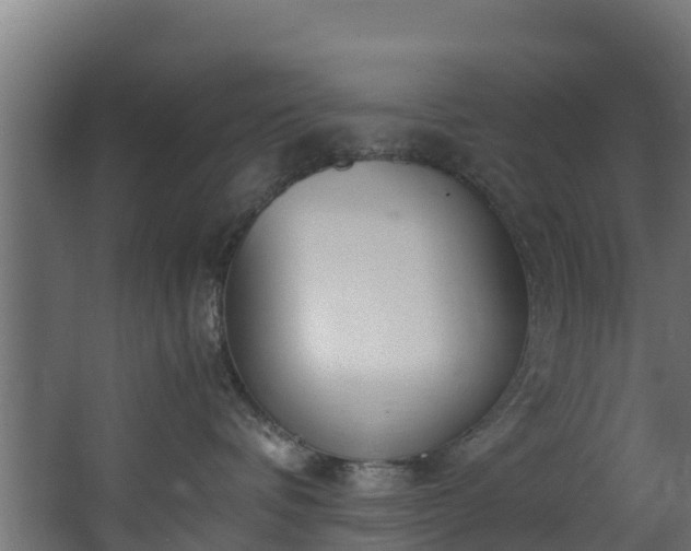 X0000067930336200604201502