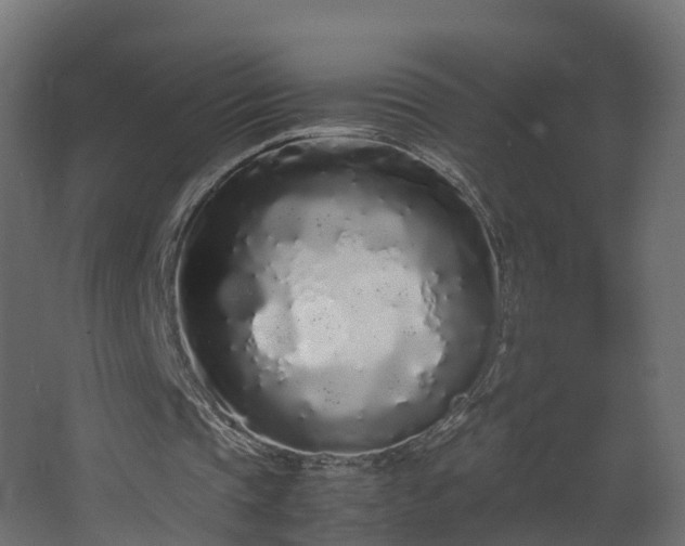 X0000067930337200604201502