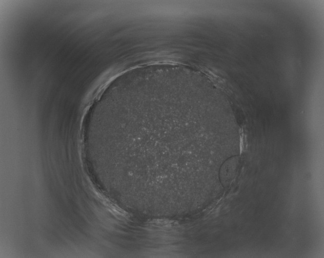 X0000067930339200604201502