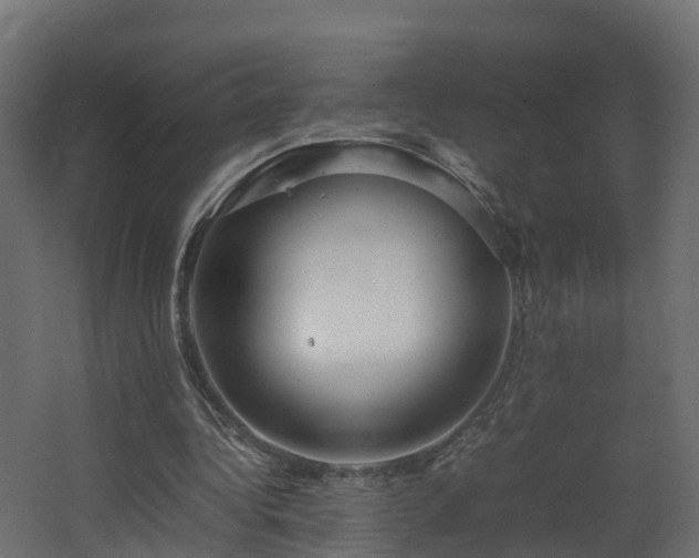 X0000067930340200604201502