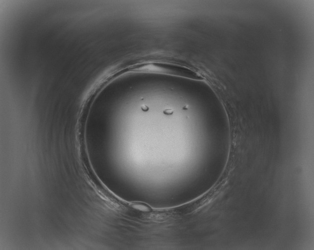 X0000067930341200604201502