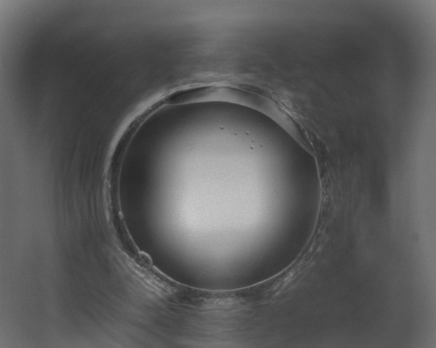 X0000067930342200604201502