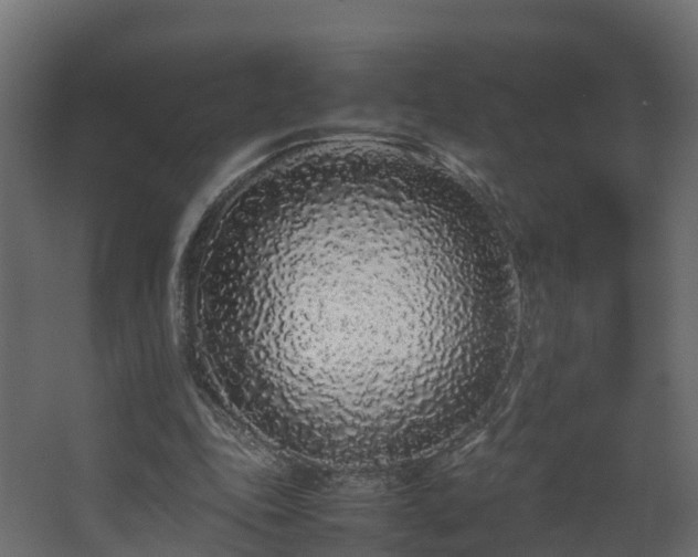 X0000067930343200604201502