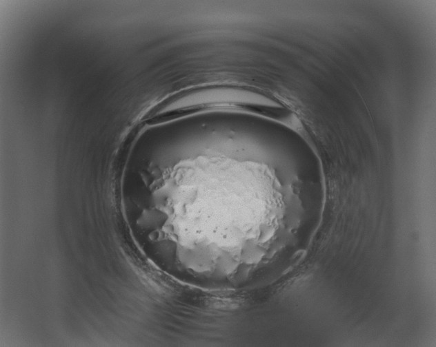 X0000067930347200604201502