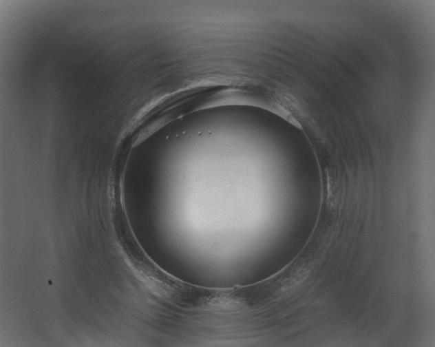 X0000067930348200604201502