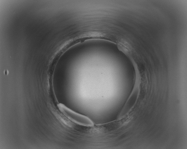 X0000067930350200604201502