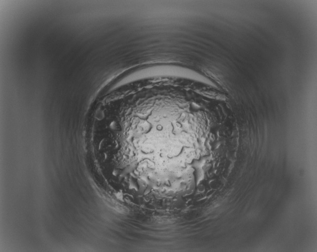 X0000067930351200604201502