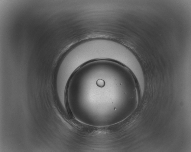 X0000067930352200604201502