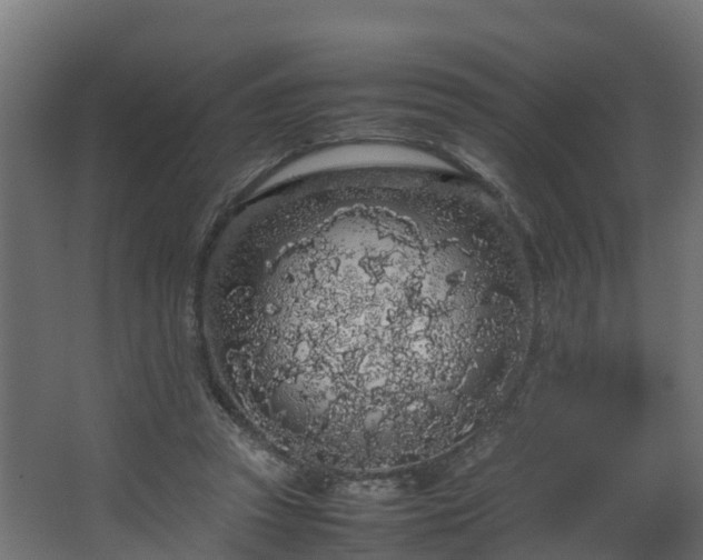 X0000067930353200604201502