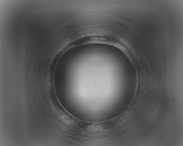 X0000067930354200604201502