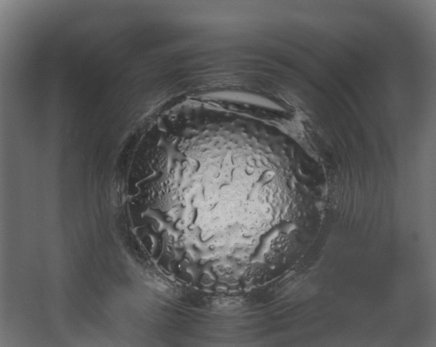 X0000067930355200604201502