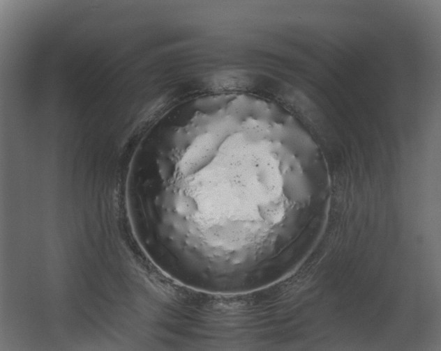 X0000067930357200604201502