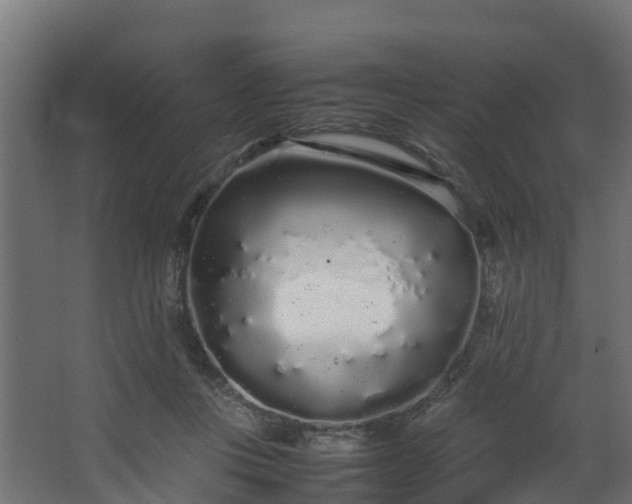 X0000067930359200604201502