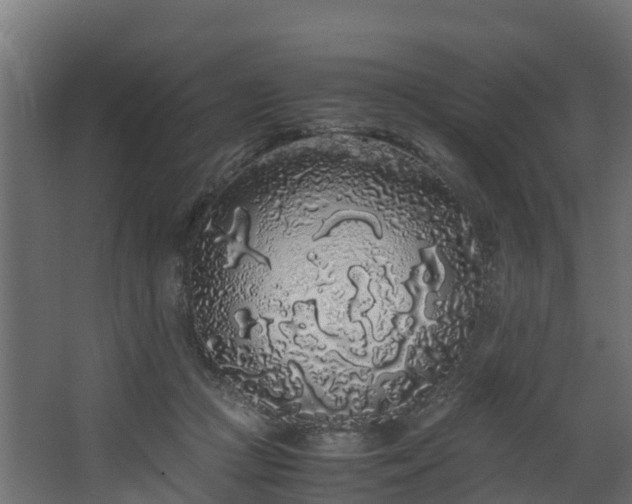 X0000067930361200604201502