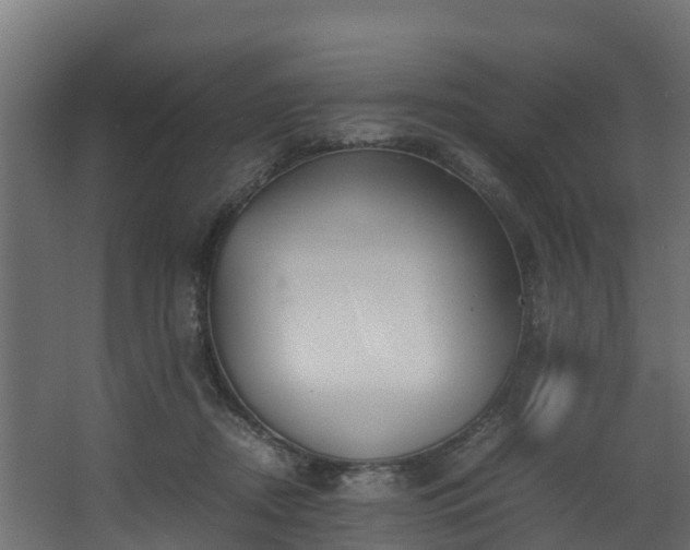 X0000067930362200604201502