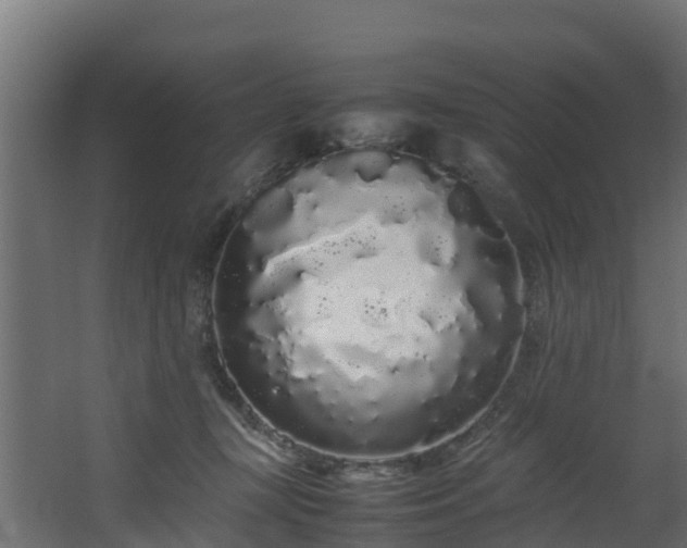 X0000067930367200604201502