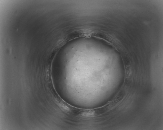 X0000067930369200604201502