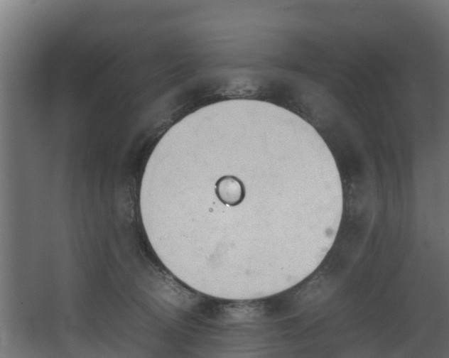 X0000067930370200604201502