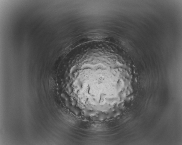 X0000067930371200604201502