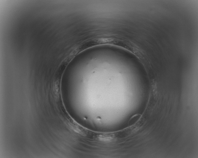 X0000067930373200604201502