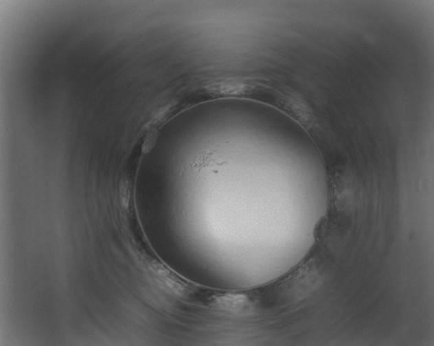 X0000067930374200604201502