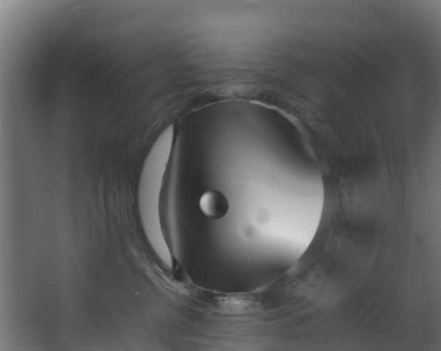 X0000067930380200604201502