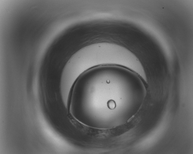 X0000067930382200604201502