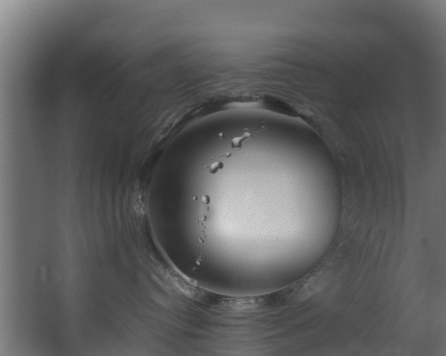 X0000067930384200604201502