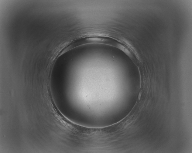 X0000067930385200604201502