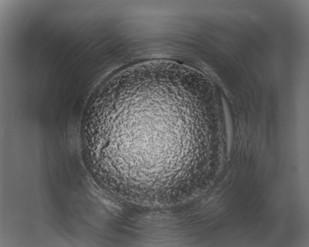 X0000067930386200604201502