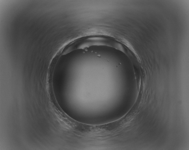 X0000067930387200604201502