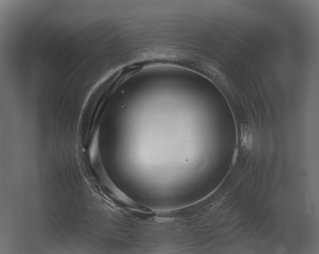 X0000067930388200604201502