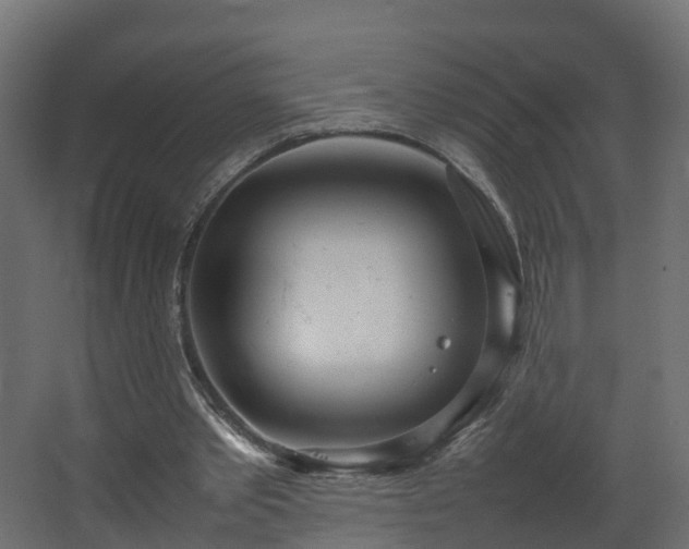 X0000067930389200604201502