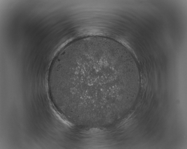 X0000067930390200604201502