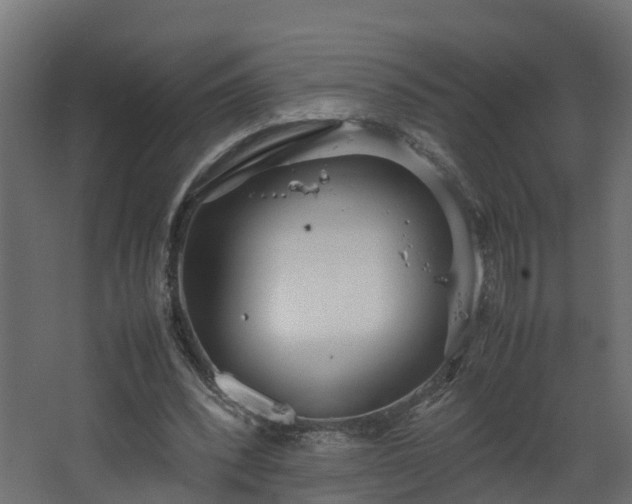 X0000067930392200604201502