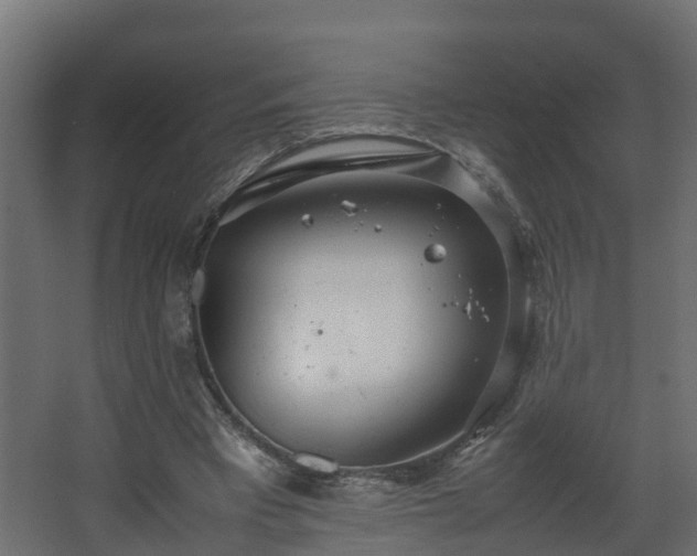 X0000067930393200604201501