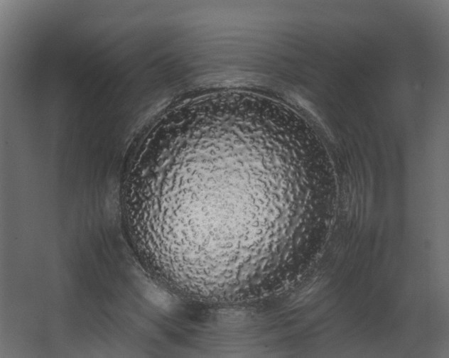 X0000067930394200604201501