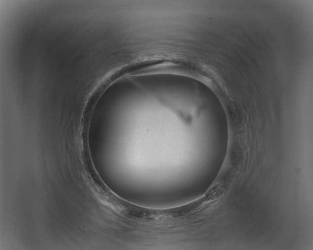 X0000067930395200604201501