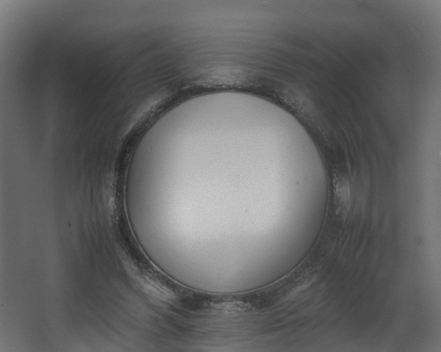 X0000067930396200604201501