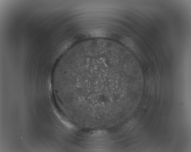 X0000067930398200604201501