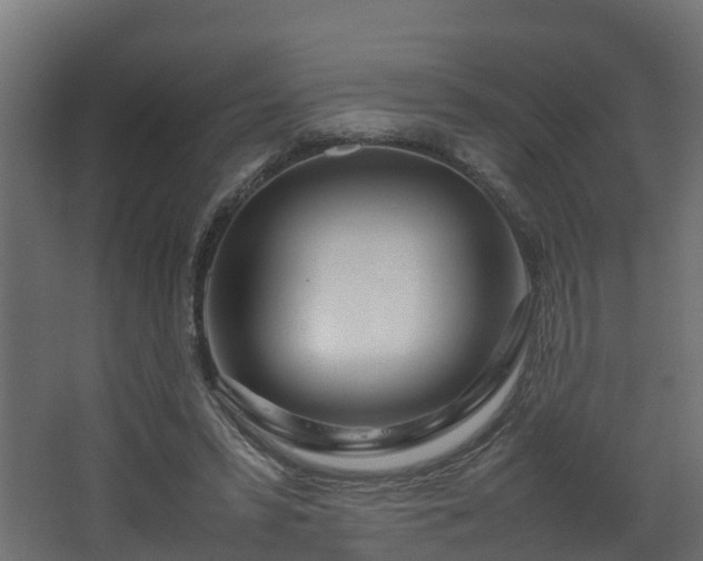 X0000067930399200604201501