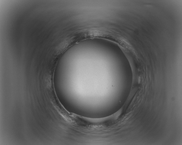 X0000067930401200604201501