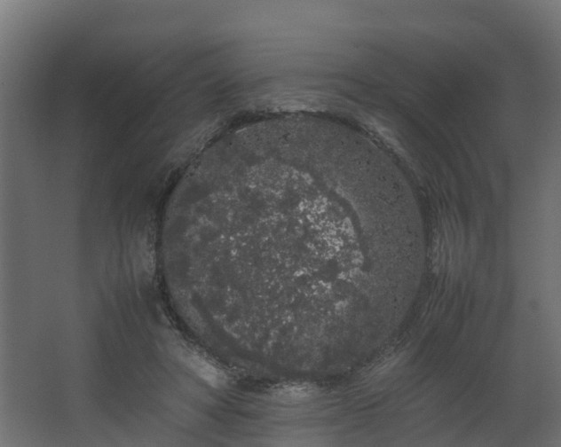 X0000067930402200604201501