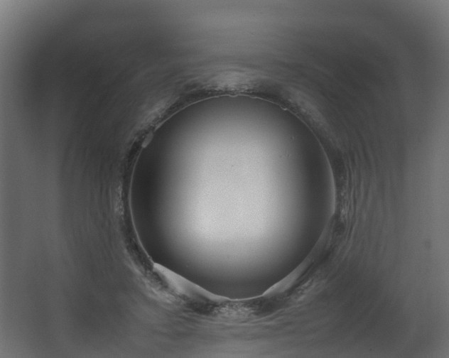 X0000067930403200604201501