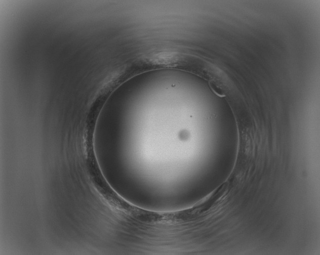 X0000067930404200604201501