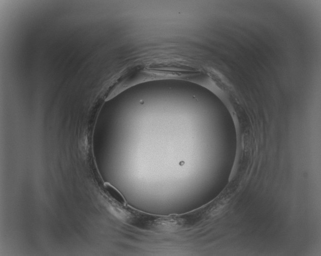 X0000067930405200604201501