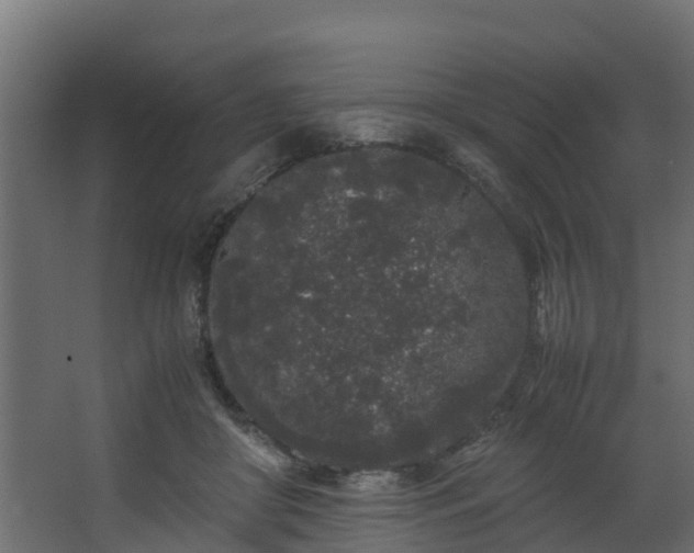 X0000067930410200604201501