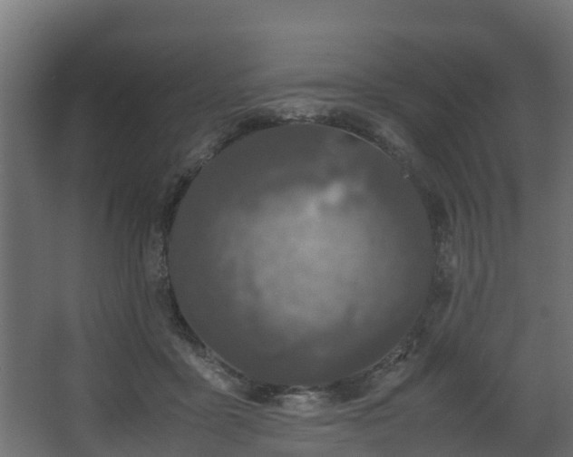 X0000067930411200604201501