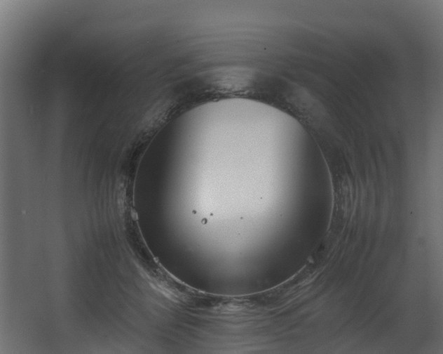 X0000067930412200604201501